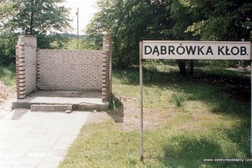 Dąbrówka Kłobucka 18.06.1993