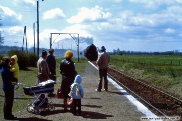 Płonica - Bolemin w kwietniu 1981 roku.