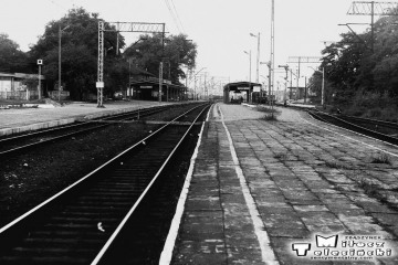 Rzepin w dniu 08.09.1986. Widok peronu drugiego od strony Zbąszynka.