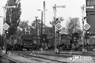 Od lewej: Tkt48-84, Tkt48-28, Tkt48-143, w obrębie lokomotywowni Międzyrzecz w dniu 02.06.1987.