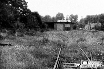 Przewóz 22.08.1986. W oddali lokomotywownia. W prawo tor do Sanic {Horka), w lewo do Potoku.