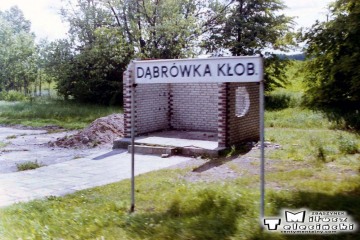 Dąbrówka Kłobucka 18.06.1993