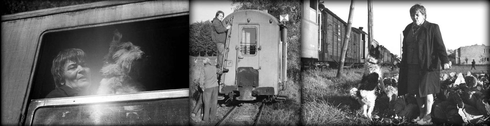 Pociąg specjalny Gniezno - Sompolno - Powidz. 23.10.1987. Na zdjęciach moja mama z pieskiem "podróżnikiem" Wandalem. Po środku ja.
