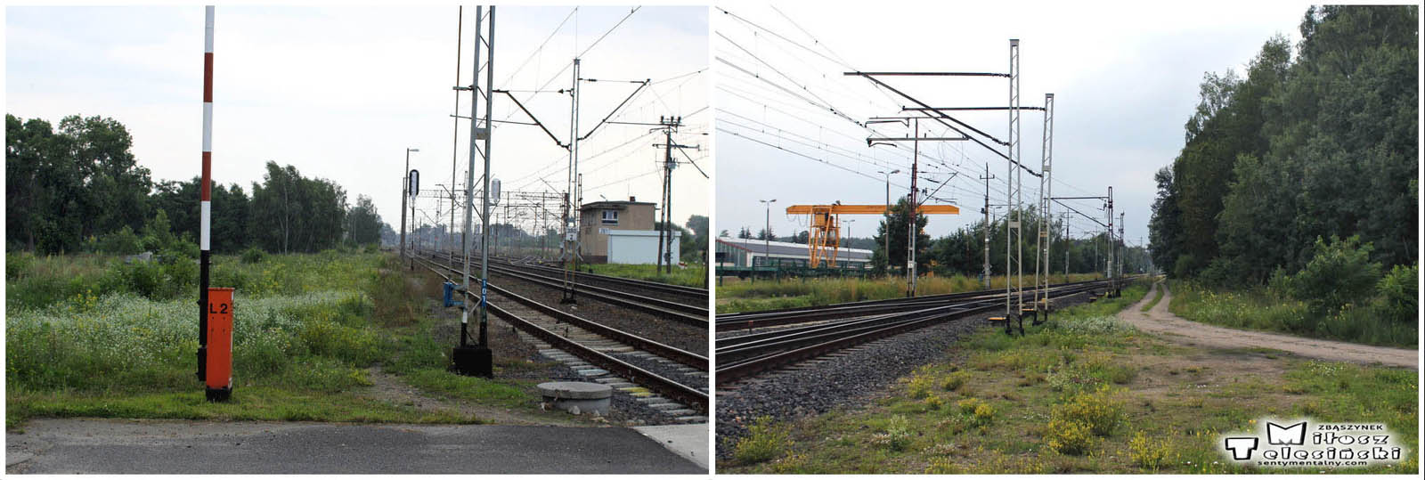 Z lewej strony zdjęcie, ukazujące stary tor do Międzyrzecza, odchodzący od stacji Zbąszyń. Po 1920 toku zakończono go kozłem oporowym. Wjazd na pozostałości po peronach kierunku Międzyrzeckiego, jest przybliżony na zdjęciach zamieszczonych powyżej. Na zdjęciu po prawej stronie, widzimy poszerzenie, sprowadzone do drogi leśnej, jako pozostałość po pierwotnym połączeniu Zbąszyń – Międzyrzecz, czynnej w latach 1885 – 1920. Odległość ze stacji Zbąszyń do stacji Dąbrówka wynosiła 7.2 kilometra. Zdjęcie z dnia 10.07.2017. 