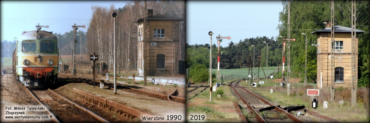Wierzbno - porównanie 1990 - 2019.